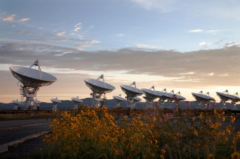 Very Large Array Flowers