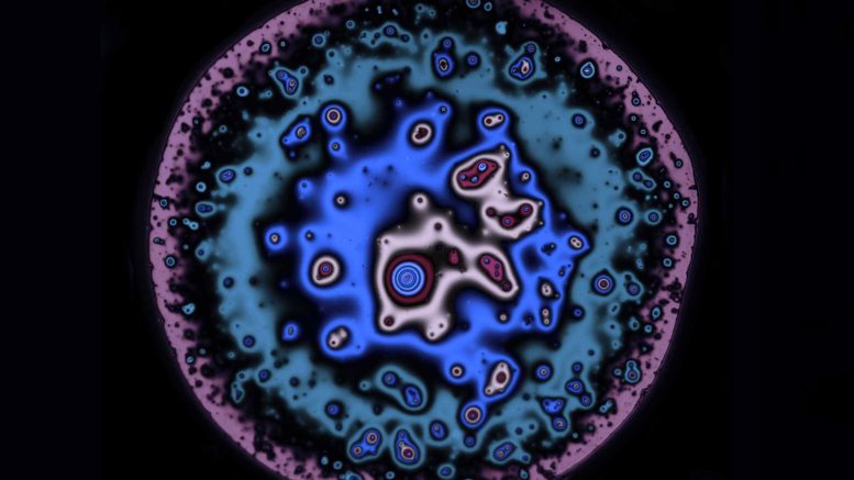 Very Thin Film of Beer Between Two Bubbles