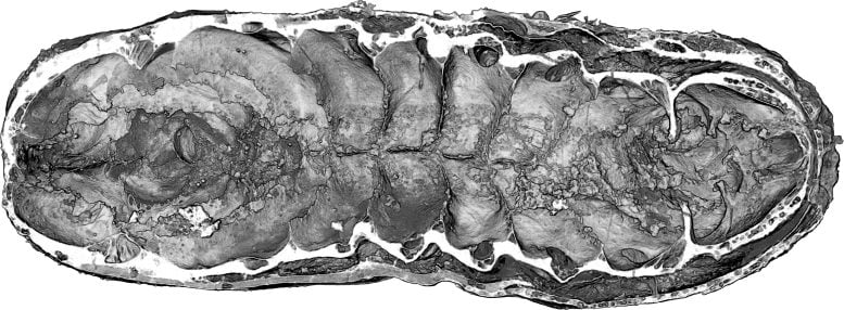 Virtual Dissection of Youti yuanshi