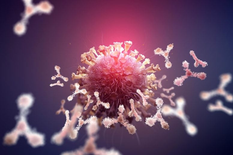 Virus Protection Antibodies Immune Defense