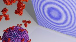 Viruses and Antibodies Holographic Imaging