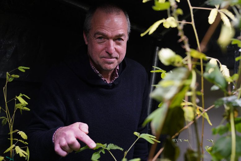 Vishton Points at a Mimosa pudica Plant
