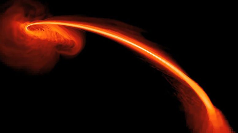 Visualization of Star Torn Apart by Black Hole