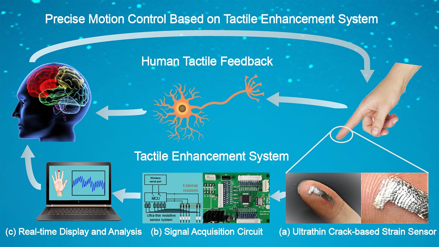 Bionic Tactile Enhancement Highly Sensitive Sensors Inspired by