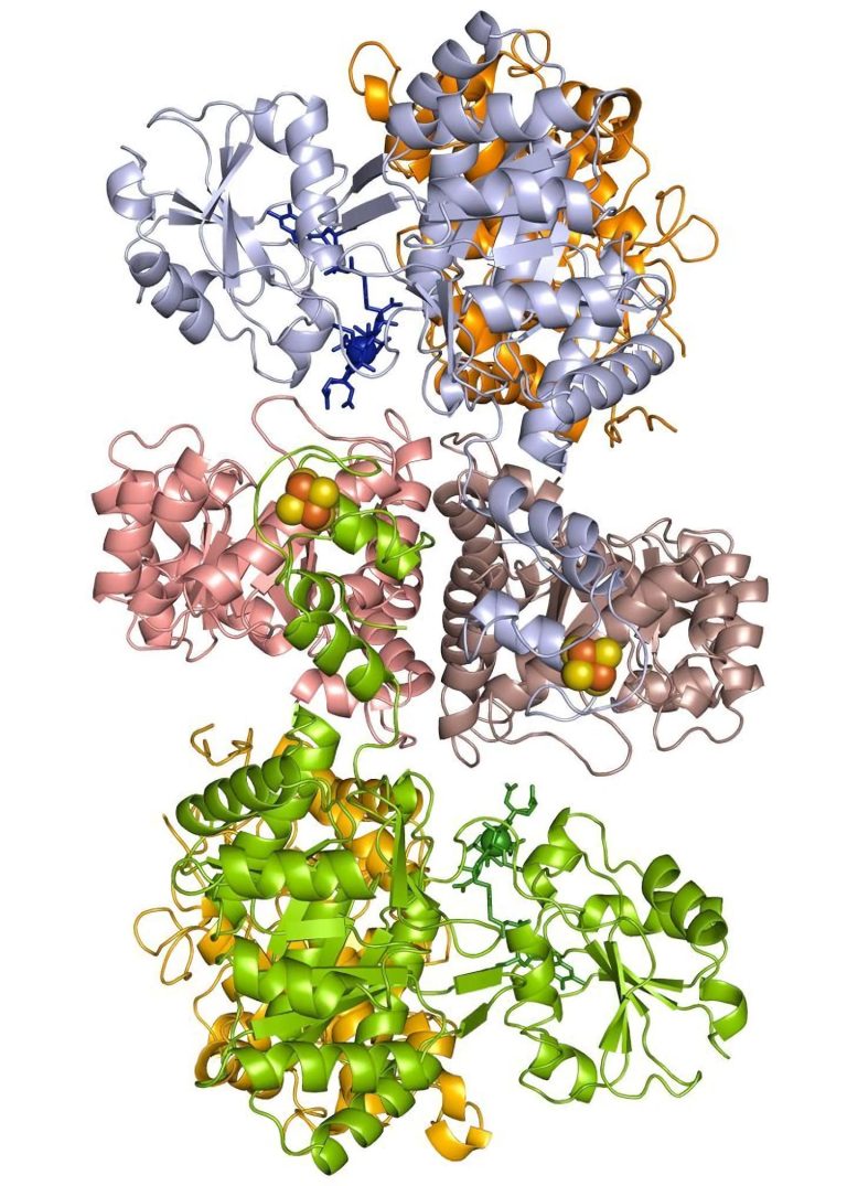 First 3D Interaction Images of Vitamin B12 During Methyltransfer