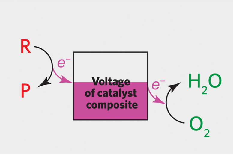 Voltage Catalyst Composite