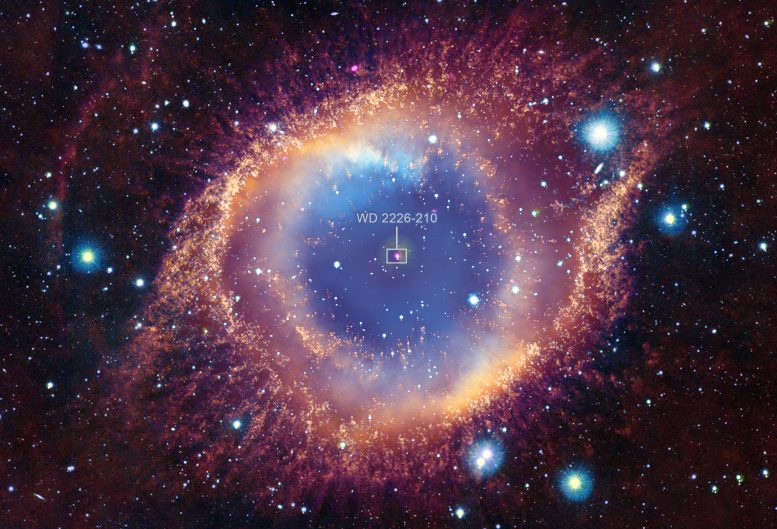 WD 2226-210 in Helix Nebula Annotated