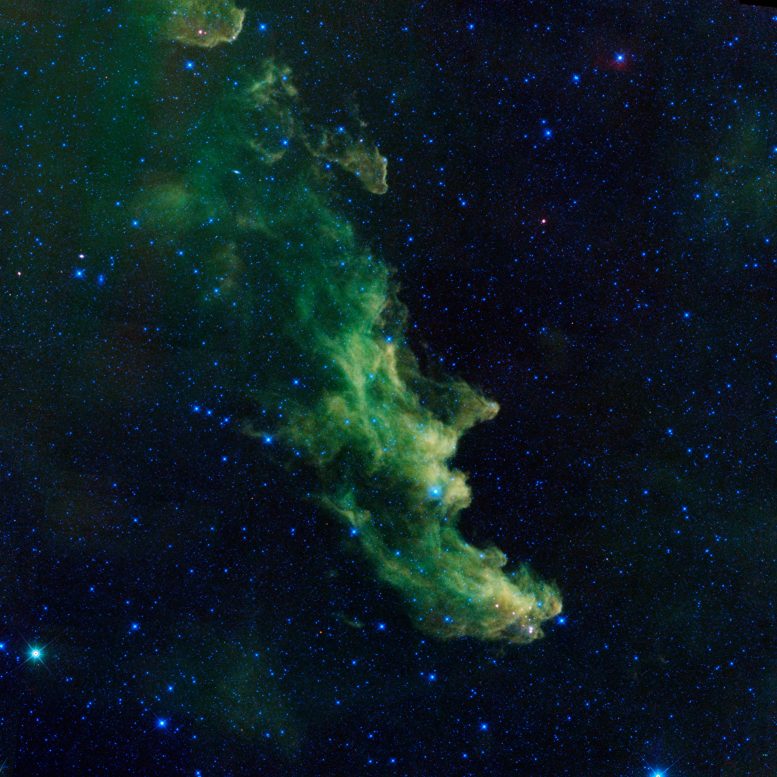 WISE Views the Witch Head Nebula