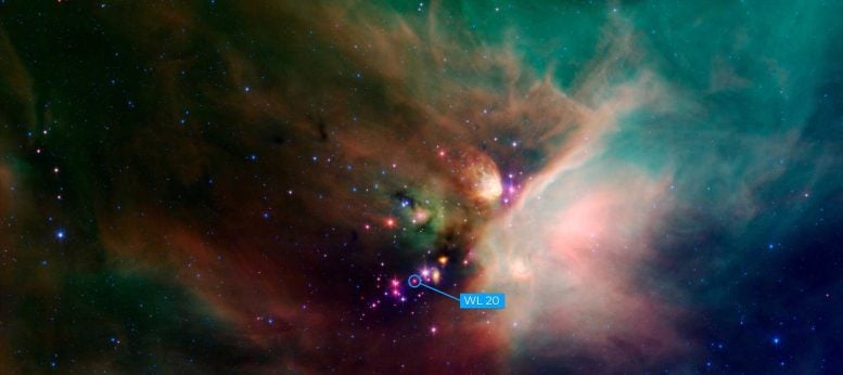 WL 20 Group of Stars Rho Ophiuchi