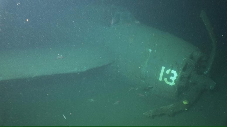 WW II Era Avenger Torpedo Bombe