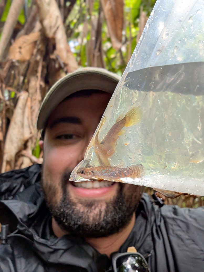 Waldir Miron Berbel Filho With Laimosemion Laranja