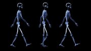 Walking Skeletons