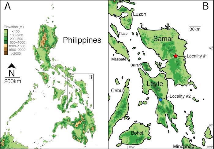 Waray Dwarf Burrowing Snake Collection Map
