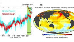 Warmest Oceans Ever Recorded