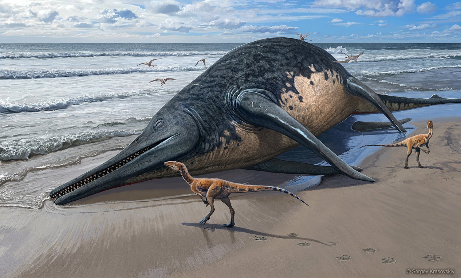 Scientists have discovered an ancient 82-foot-long 'giant fish lizard' in the UK