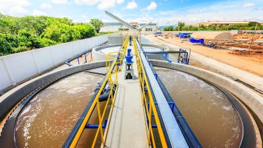Hidden Dangers: Johns Hopkins Unmasks Hazardous Chemicals in Biosolid Fertilizers