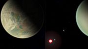 Water-Bearing and Dry Exoplanets