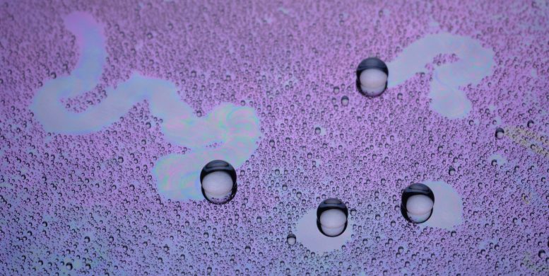 Water Droplets Exhibiting Complex Collective Motion