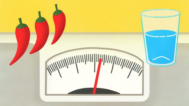 Water Intake Linked to Food Consumption
