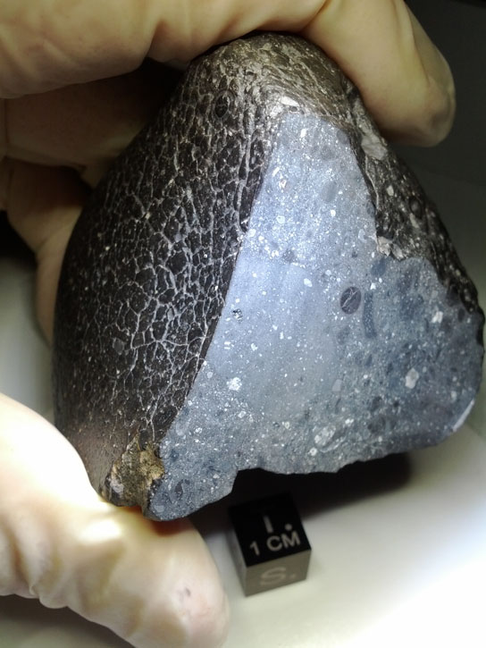 Water Rich Meteorite Linked To Mars