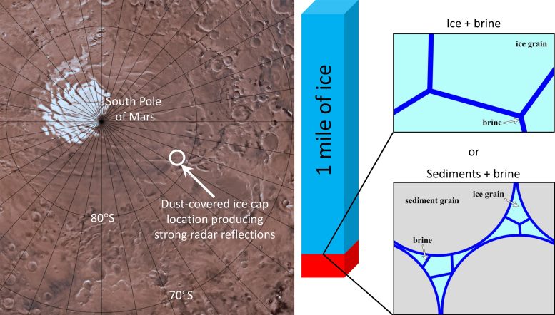 Water Under Martian Ice Cap