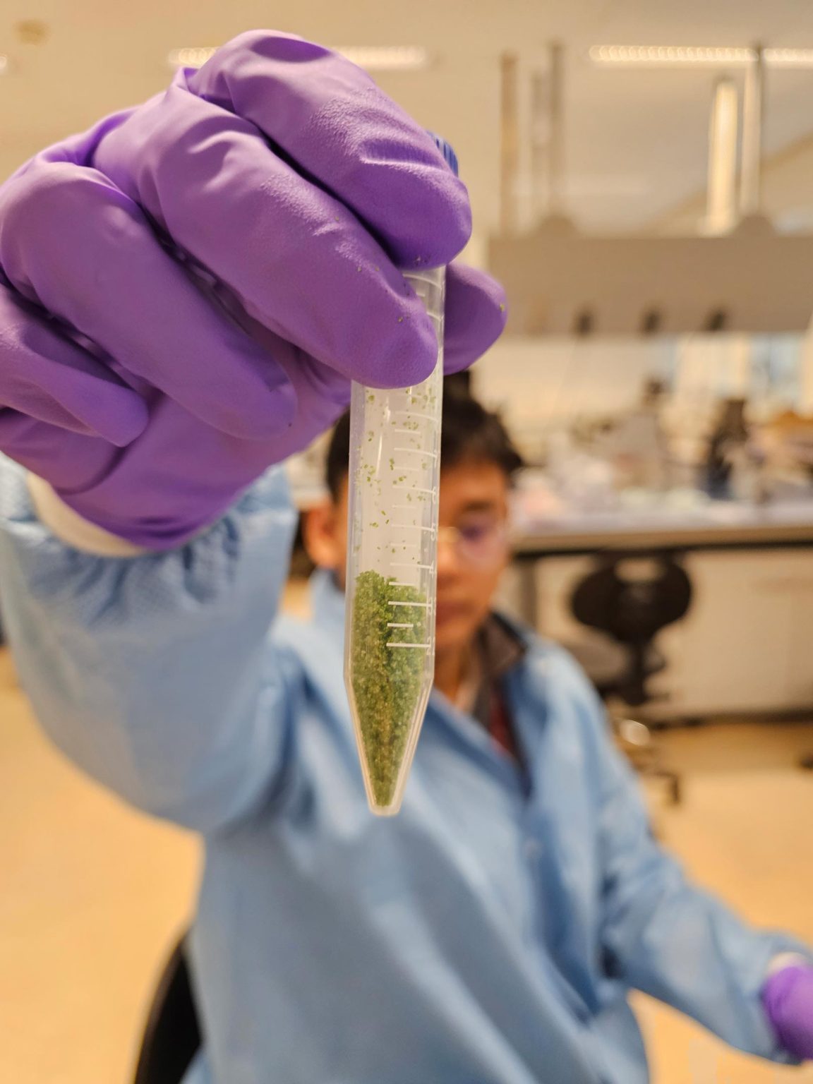 Astro-Botany Breakthrough: Earth’s Smallest Plant Takes On Hypergravity