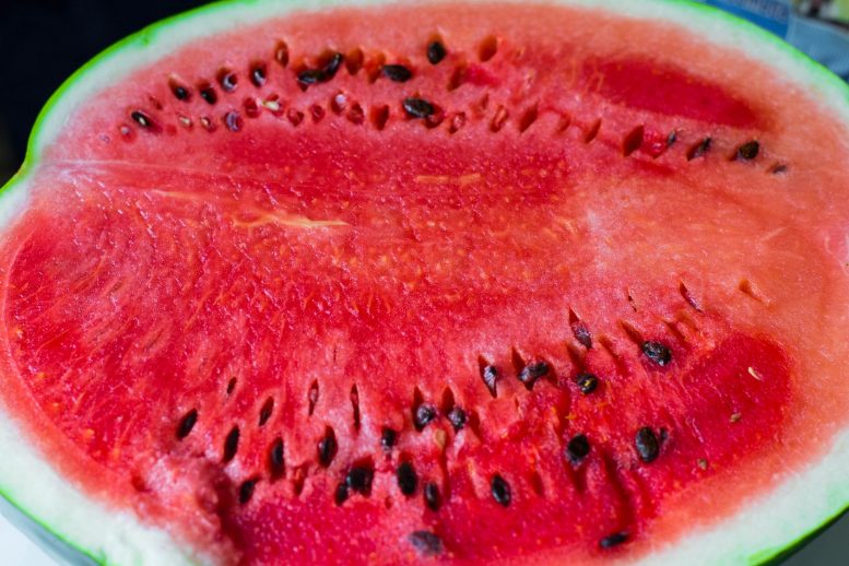 Watermelon Close Up