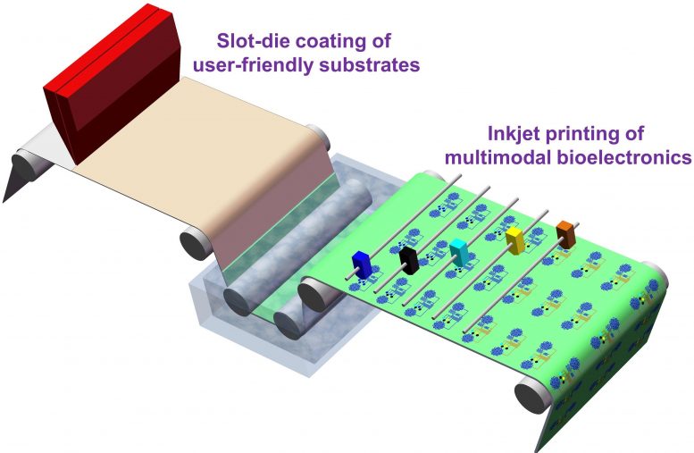 Wearable Multimodal Bioelectronics