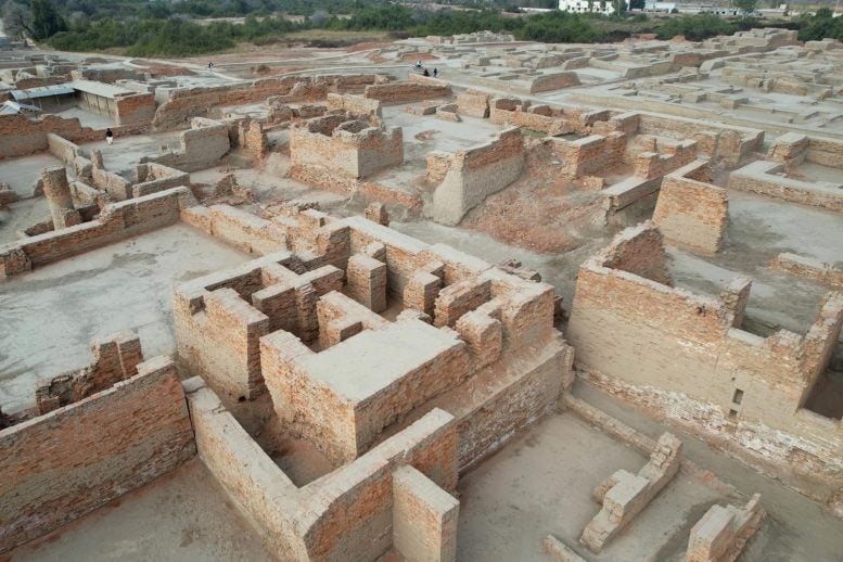The 4,000-Year-Old City That Defied History’s Rules on Wealth and Power