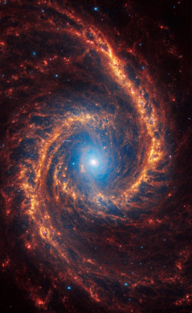 Webb Spiral Galaxy NGC 1566