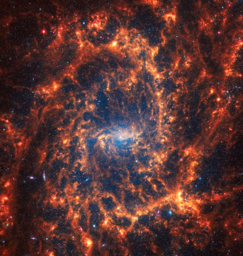 Galáxia espiral Webb NGC 2835