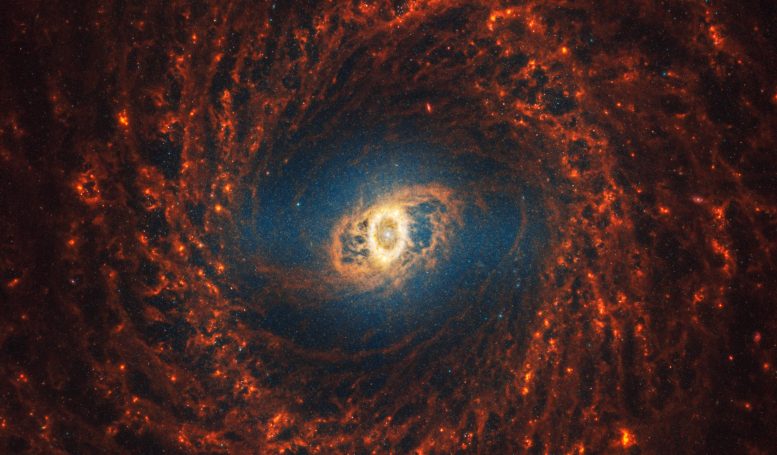 Galáxia espiral Webb NGC 3351