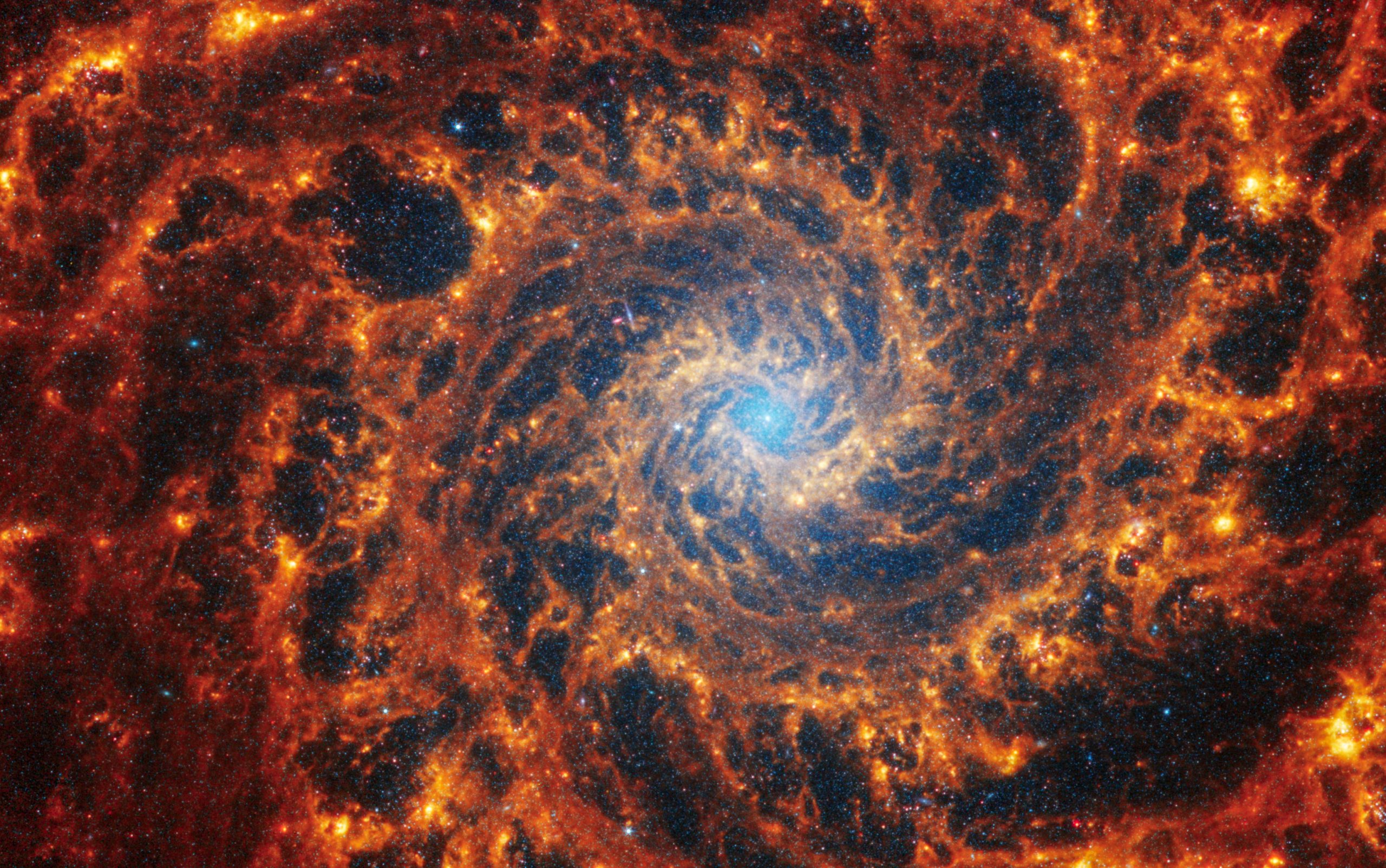 The Webb Space Telescope reveals amazing structure in 19 nearby spiral galaxies