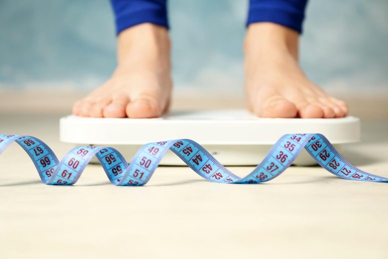 Weight Loss Measuring Tape Scale