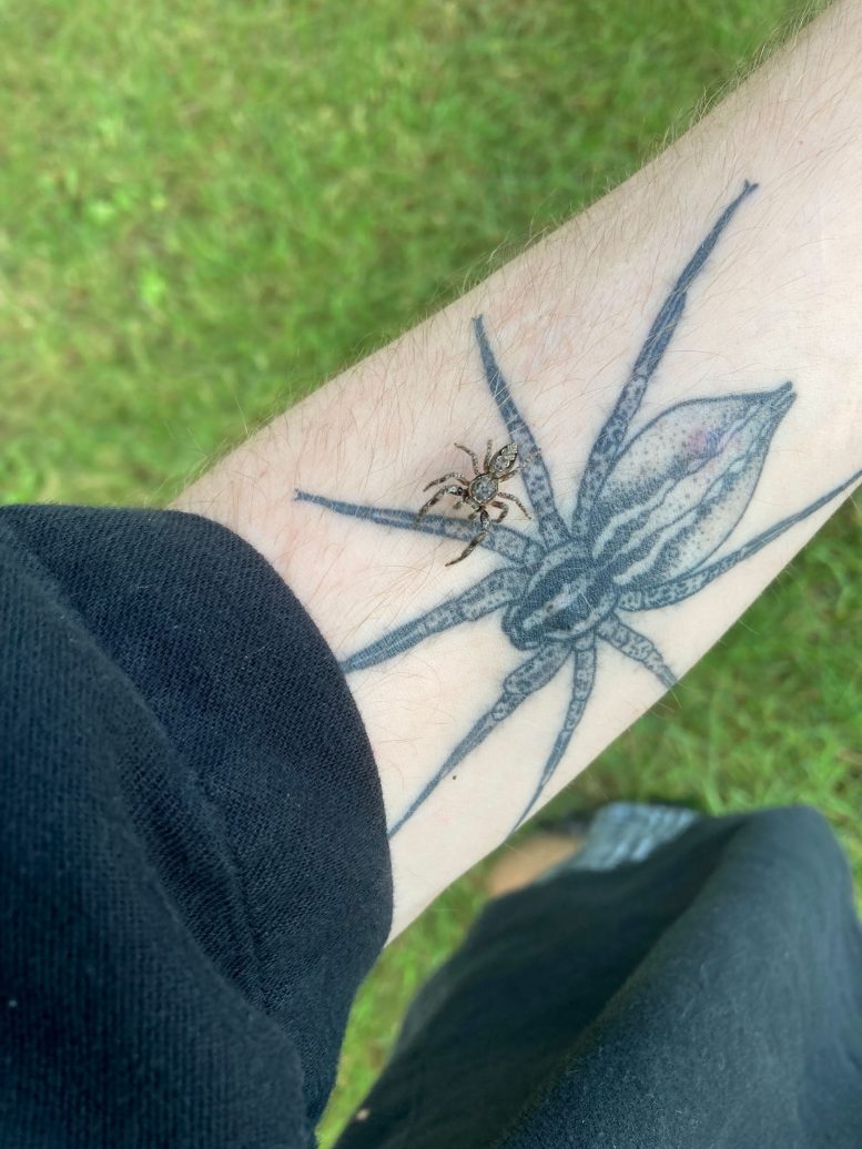 Wes Walsh With Spider