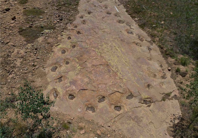 West Gold Hill Dinosaur Tracksite From Above