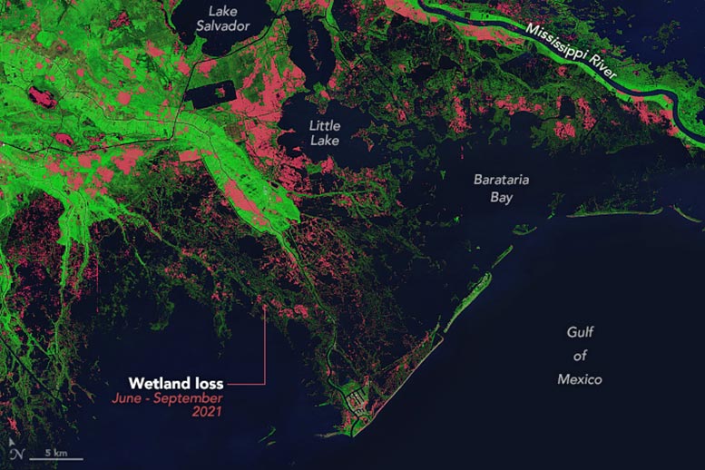 Wetlands in Southern Louisiana Disappeared After Ida Annotated