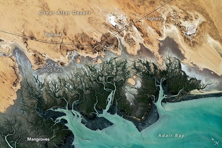 Wetlands of Adair Bay Annotated