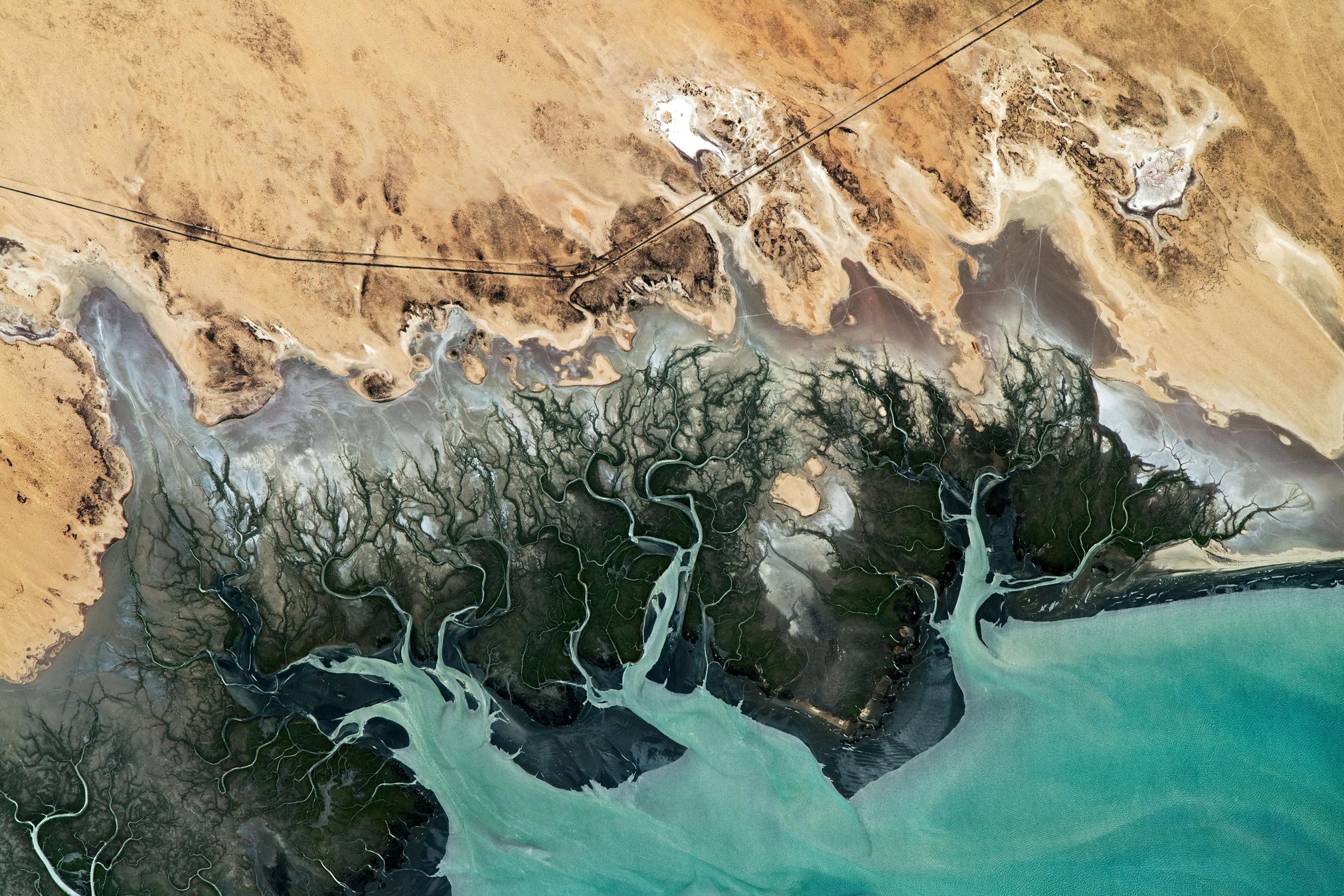 Wetlands of Adair Bay – Stunning Photo Captured by Space Station Astronaut | Science