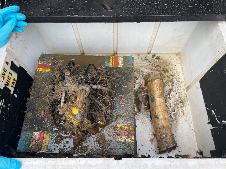 � 2023 ���� � ������� ������ ��� ��������� ����������� � ������� ������