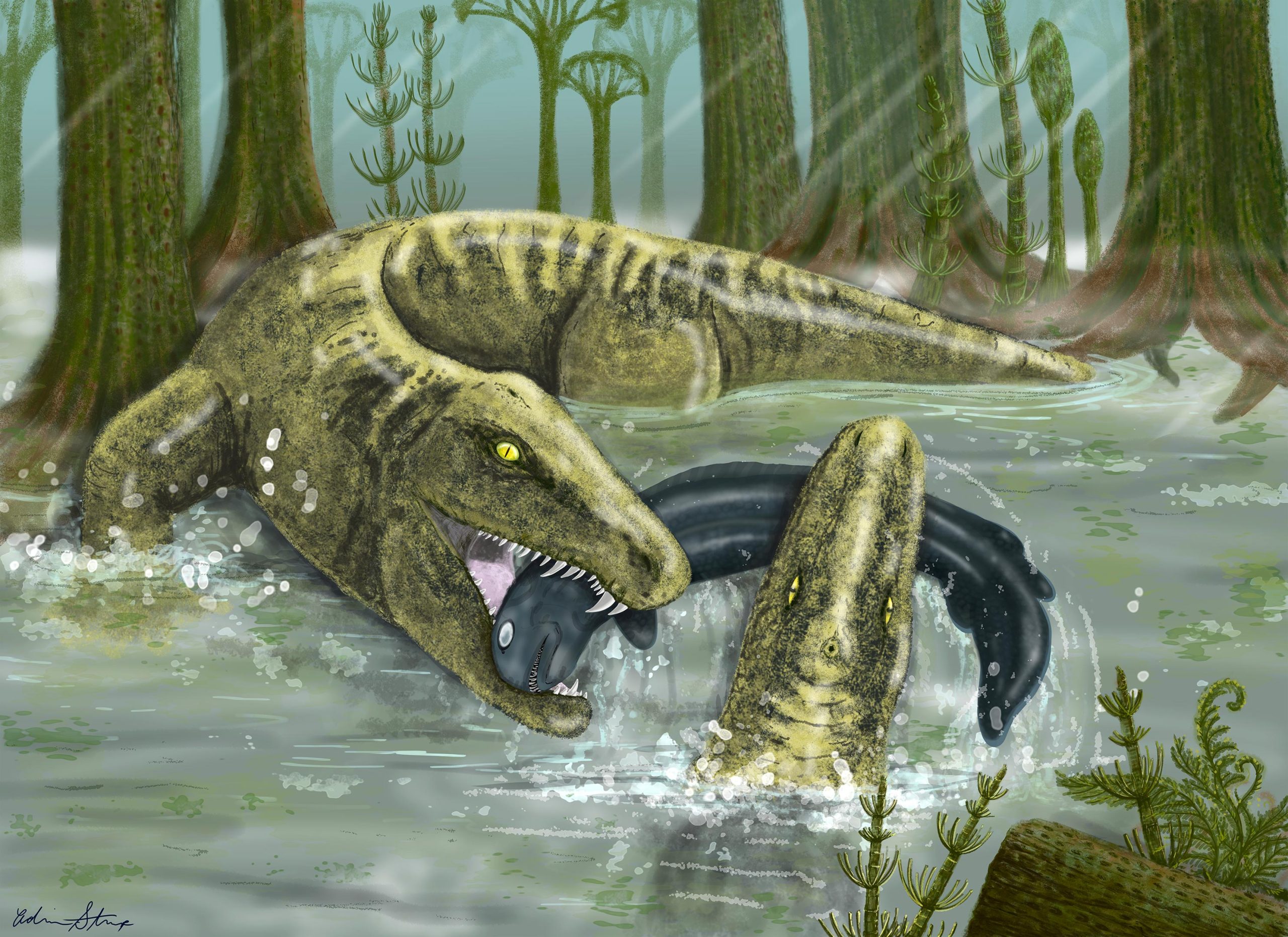 Prehistoric Superpredator: Weird Whatcheeria Was the “T. rex of Its Time”