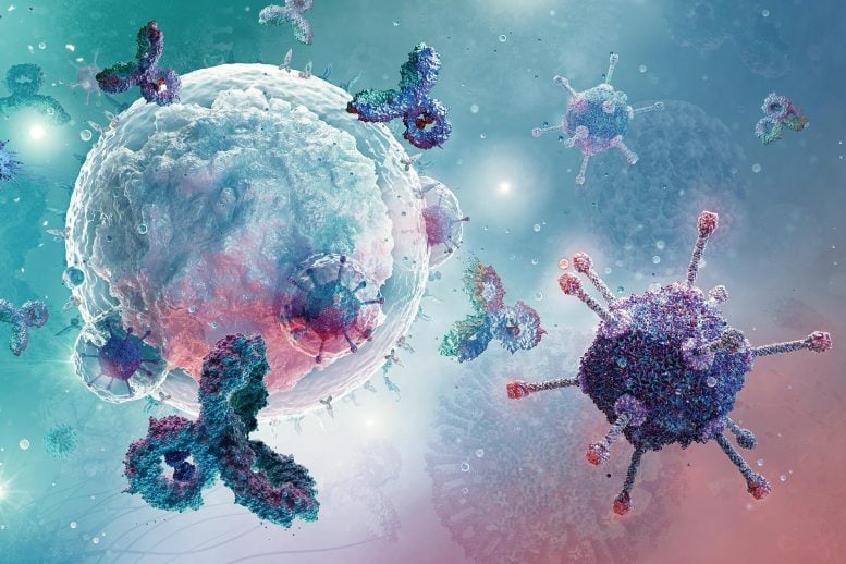White Blood Cell Lymphocyte Immune System