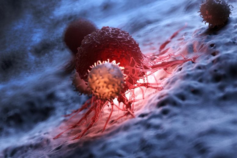 White Blood Cells Attacking Cancer Cell Immunology