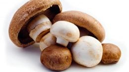 White Button, Crimini and Portabella Mushrooms