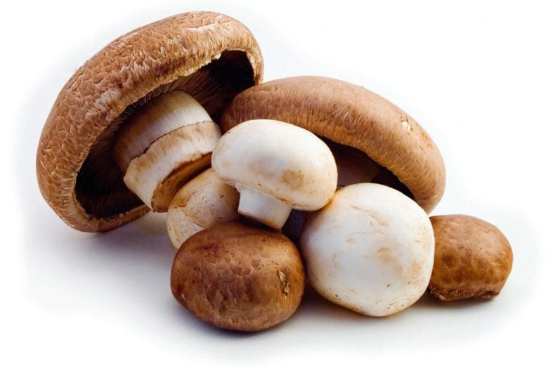 White Button, Crimini and Portabella Mushrooms