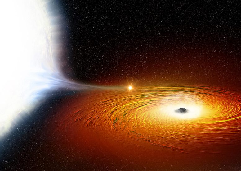 White Dwarf Star in Orbit With a Black Hole