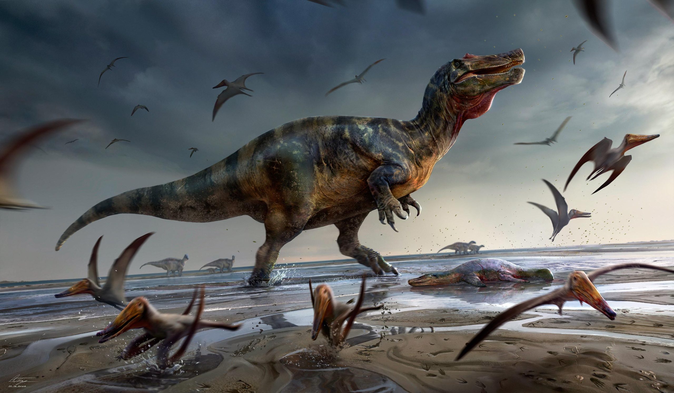 Europe's Largest Predatory Dinosaur Unearthed on the Isle of Wight