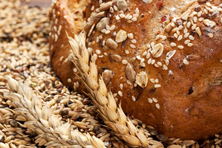Wholegrain Bread