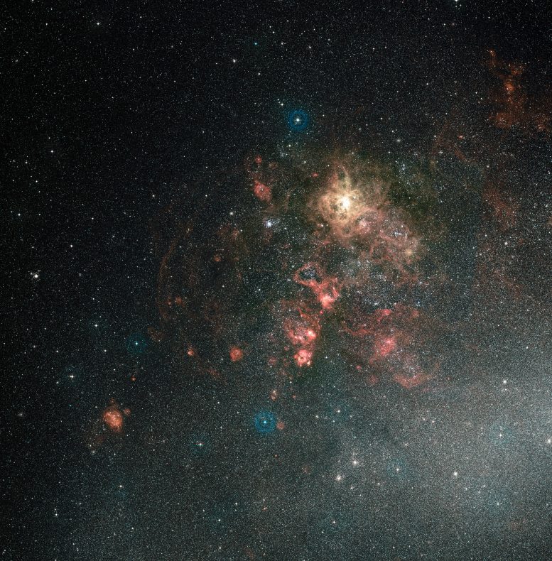 Wide-Field View of Tarantula Nebula