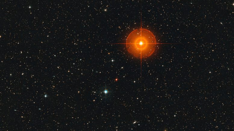 Wide Field View of the Region of the Sky Around the Star R Doradus